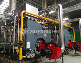ZOZEN boiler